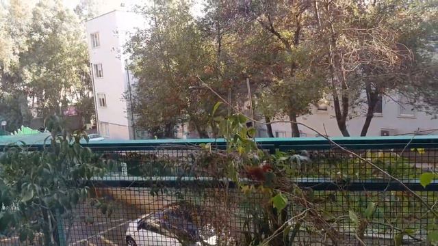 В БОЛЬНИЦЕ CROCE ROSSA ITALIANA ДУРДОМ смотреть онлайн