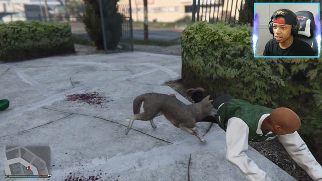 GTA 5 WOLF PACK MOD! - ALPHA WOLF HUNTING (GTA 5 Mods) смотреть онлайн