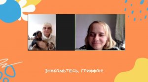 БЕЛЬГИЙСКИЙ ГРИФФОН: что нужно знать о породе перед покупкой