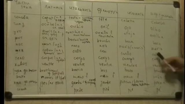 Лексическое поле 