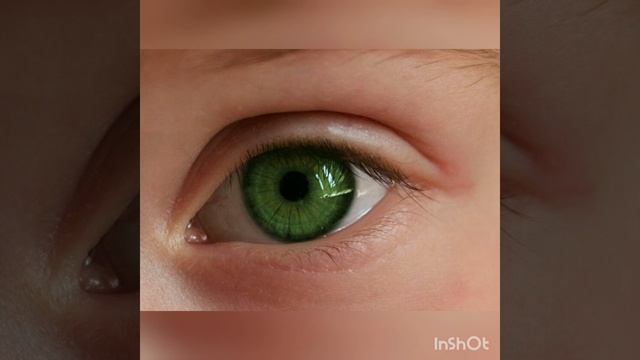 Сделай Сам на 100%