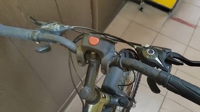 Видео №598334