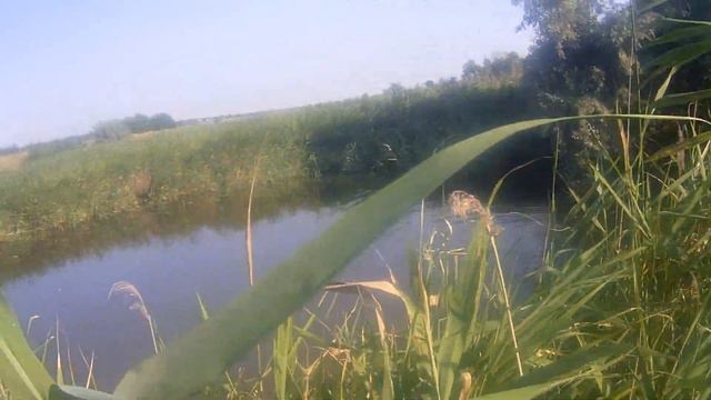 Натаска по утке смотреть онлайн