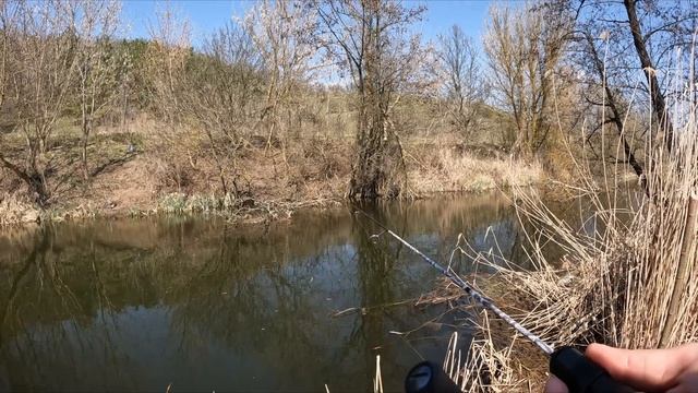 КРУПНЯК ИЗ КОРЯГ! Мормышинг в АПРЕЛЕ на ПЛОТВУ! НОВАЯ ПРИМАНКА для Мормышки смотреть онлайн