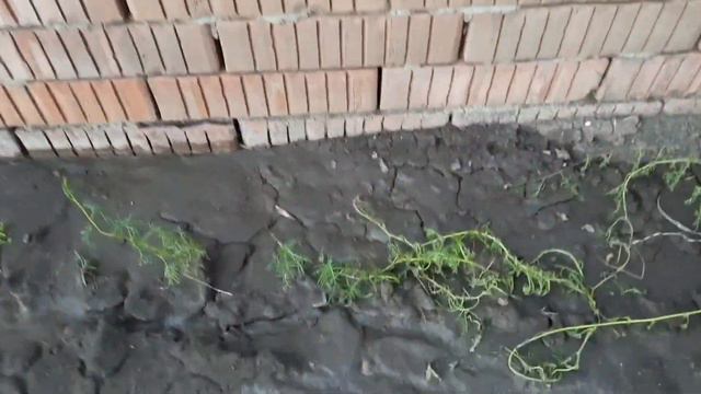 Сделала прививку ГАМ-КОВИД-ВАК,домашние хлопоты смотреть онлайн