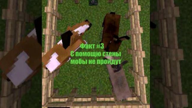 4 крутых факта в майне | Животные в неволе! смотреть онлайн