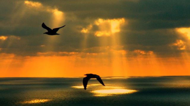 НАД СУЕТОЙ смотреть онлайн