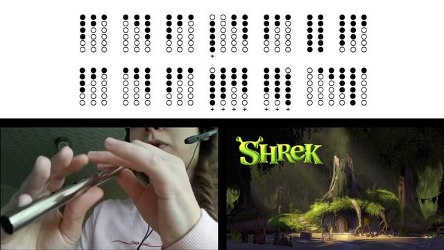 Fairytale (Shrek) on Tin Whistle D + tabs tutorial смотреть онлайн