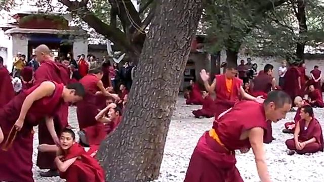 Дебаты буддийских монахов в монастыре Сера смотреть онлайн