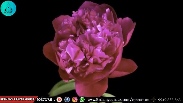 SUNDAY SERVICE - 1 #LIVE | BETHANY PRAYER HOUSE | 05-11-2023 | Sunday Message смотреть онлайн