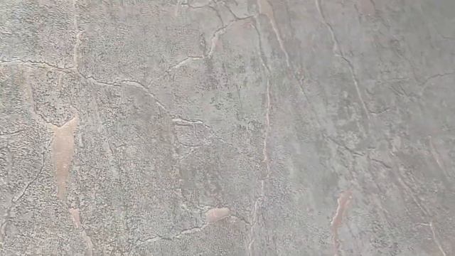 Разноцветный рай