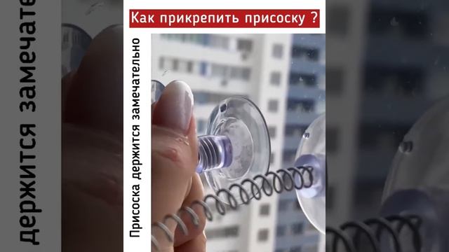 Дразнилка для кошек. Как крепить присоску смотреть онлайн