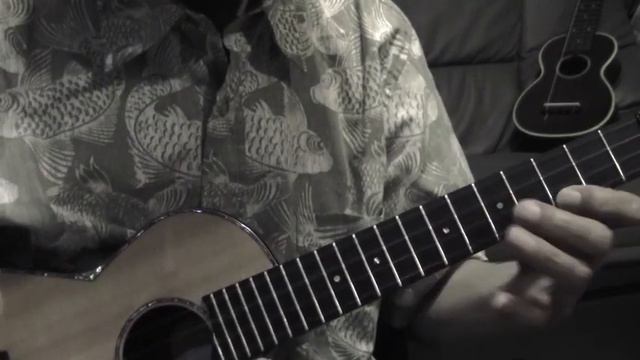 HEY JUDE / Ukulele Solo (Cover) смотреть онлайн
