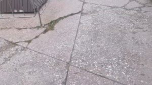 Что такое Мозаичные полы терраццо ? Мраморные полы