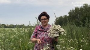 ЭТО ТРАВКА ПРОДЛИТ ВАШУ ЖИЗНЬ НА ТЫСЯЧУ ЛЕТ И ВЫЛЕЧИТ ОТ ВСЕХ БОЛЕЗНЕЙ