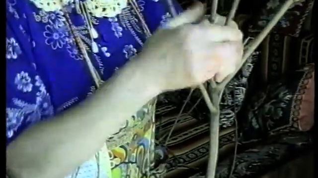 Омоложение плодовых деревьев, техника прививки, высадка растений и рассады. смотреть онлайн