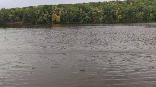 FSR-ECO-EXPERT, SARATOV, 18.09.22 Областные соревнования по судомодельному спорту смотреть онлайн