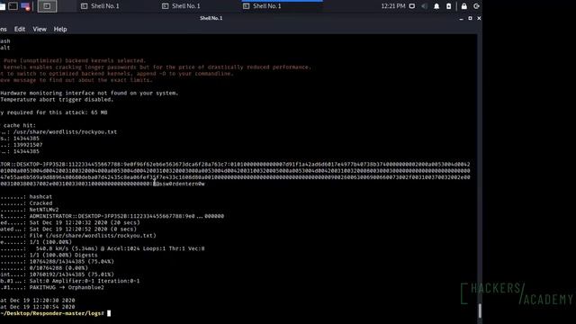 HAVOC: Stealing Administrator's Hash With PDF Files смотреть онлайн