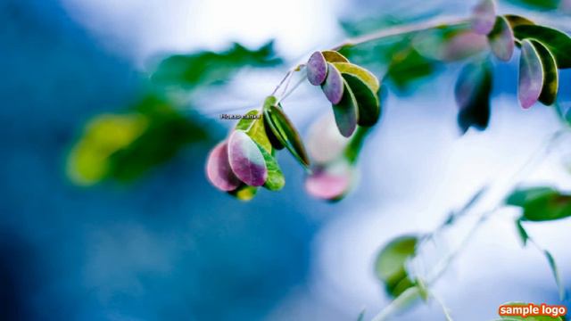 Как создать невидимую папку в Windows 7/XP смотреть онлайн