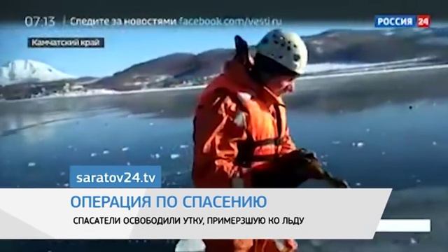 Саратов Сегодня — 25 февраля 2019 смотреть онлайн