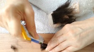 Парик для куклы Часть 2 Мастер Класс