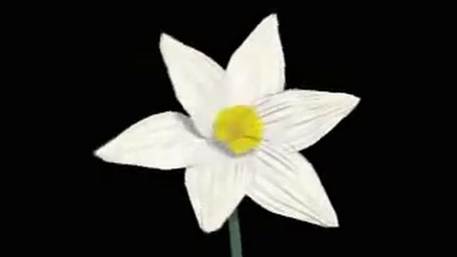Copy of singing flower смотреть онлайн