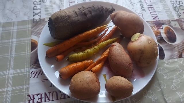 Обои вместо декоративной штукатурки. Винегрет из запечённых овощей.