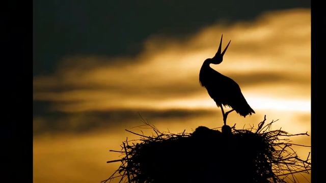 Ефим Ташлицкий. Авторская песня "Памяти Василия Саввиди" смотреть онлайн