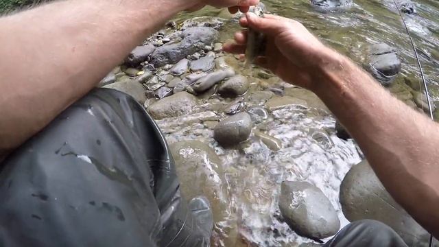 Рыбалка на форель в Абхазии смотреть онлайн