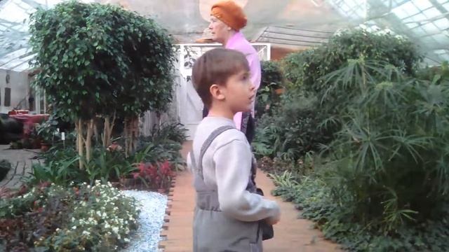 Как цветет монстера и опять зеленая щепочка смотреть онлайн