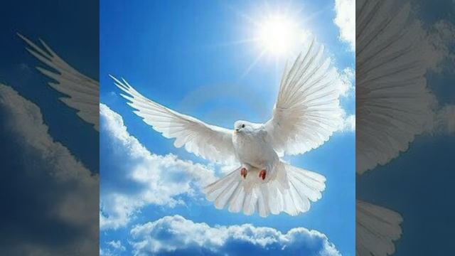 О, Ангел мой! ( авторский стих ) смотреть онлайн