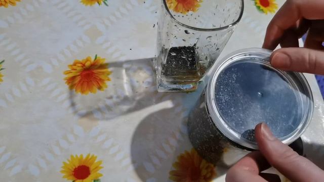 Пробую семена Чиа. Как думаете есть ли от них польза?