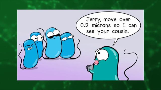 ЕСТЕСТВОЗНАНИЕ 5 КЛАСС МИКРОСКОПИЧЕСКИЕ ИССЛЕДОВАНИЯ ЖИВЫХ ОРГАНИЗМОВ смотреть онлайн