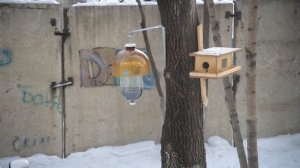 Кормушка только для синичек. Как разделить воробьёв и синичек. Кормушка исключительно для синиц.