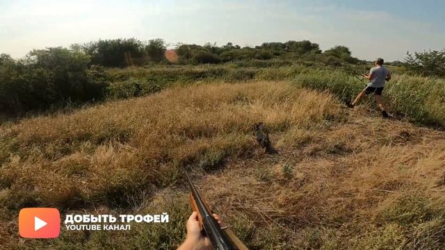САМОЕ ЖАРКОЕ ОТКРЫТИЕ ОХОТЫ на УТКУ | ОСЕНЬ 2022 смотреть онлайн