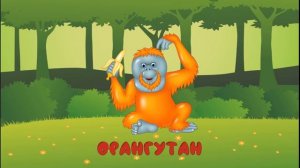 АЗИАТСКИЕ ЖИВОТНЫЕ-названия и звуки животных для детей