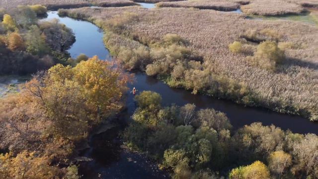 Осень на Беларуском Полесье . Река Случь смотреть онлайн
