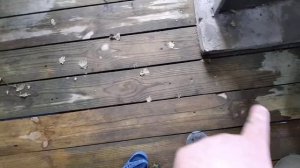 Самодельная Мини баня из каркасного сарая