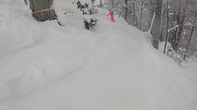 Фрирайд (Дафна) Роза хутор смотреть онлайн