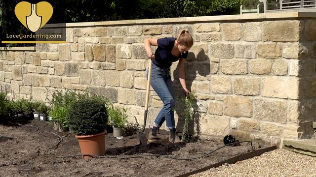 How to plant a Climbing Shrub with Katie Rushworth смотреть онлайн