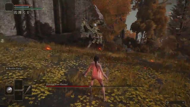 Elden Ring - Lvl1 Wretch vs Draconic Tree Sentinel [No Damage] смотреть онлайн
