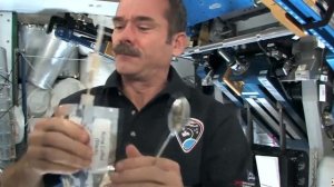 WHAT IS THE EVERYDAY LIFE OF AN ASTRONAUT IN SPACE LIKE?