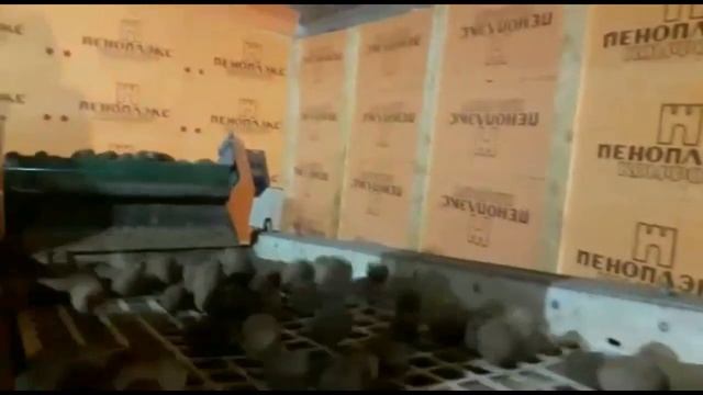 Машина калибровки картофеля СК 90 в работе смотреть онлайн