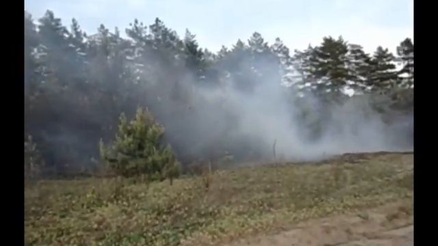 Берегите Лес! Май 2013 смотреть онлайн