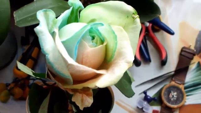 Флористика КАК СДЕЛАТЬ РАЗНОЦВЕТНУЮ РОЗУ HOW TO MAKE A DIFFERENT ROSE A great idea f смотреть онлайн