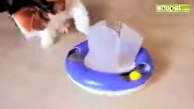 Интерактивная игрушка для кошек Активный кот смотреть онлайн