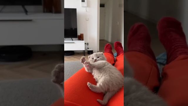 Зазевался смотреть онлайн