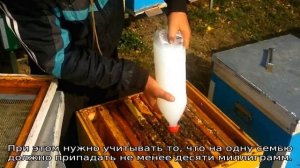 Бипин для пчел — инструкция