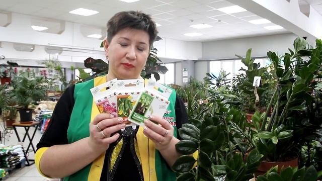 ЧЕРНАЯ НОЖКА У РАСТЕНИЙ. КАК БОРОТЬСЯ? смотреть онлайн