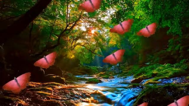 ФУТАЖИ-СКАЗОЧНЫЙ ЛЕС смотреть онлайн